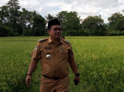 pemantauan-wilayah-areal-persawahan